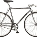 Bianchi Pista Steel 1g - Sølv