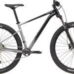 Cannondale 29 Trail SE 4 2021 - Grå/Sort