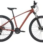 Centurion Violator MTB 29" 21g 2022 - Brun