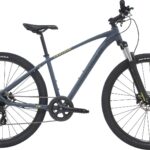 Centurion Violator MTB 29" 8g 2022 - Blå