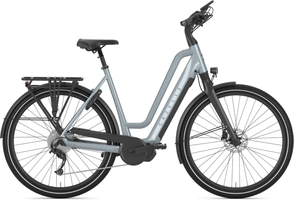 Gazelle Chamonix T10 HMS Dame 2021 -  Grå