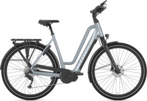 Gazelle Chamonix T10 HMS Dame 2021 – Grå