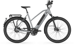Gazelle Ultimate Speed 380 Dame 2021 – Grå