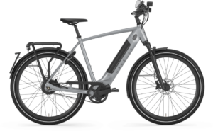 Gazelle Ultimate Speed 380 Herre 2021 – Grå