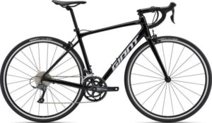 Giant Contend 2 2022 – Sort