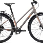 Giant Liv Alight 2 City Disc - 1X 2022 - Sølv