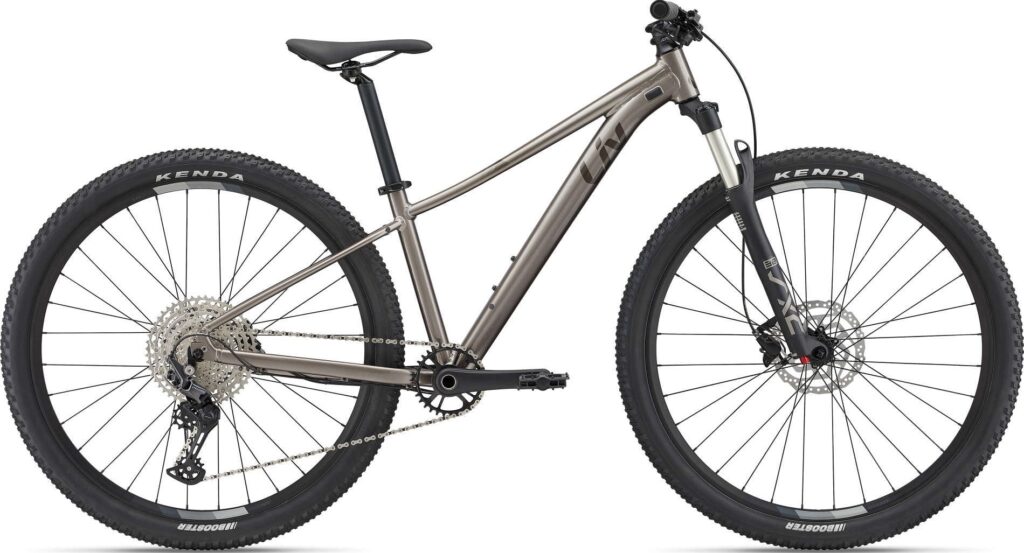 Giant Liv Tempt 29 0 2022 - Sølv/Grå