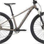 Giant Liv Tempt 29 0 2022 - Sølv/Grå