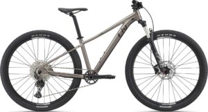 Giant Liv Tempt 29 0 2022 – Sølv/Grå