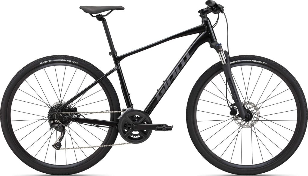 Giant Roam 2 Disc 2022 - Sort