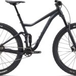 Giant Stance 29 1 2022 - Sort