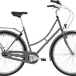 Raleigh Darlington Dame 7g 2021 - Grå