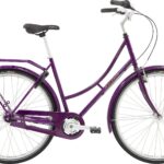 Raleigh Darlington Dame 7g Fodbremse 2020 - Lilla