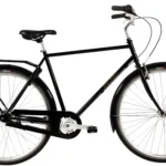 Raleigh Darlington Herre 7g 2020 - Sort