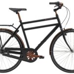 Raleigh Sussex LTD 7g Herre - KAMPAGNE
