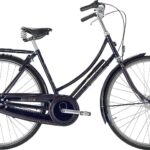 Raleigh Tourist de Luxe Dame 3g 2020 - blå