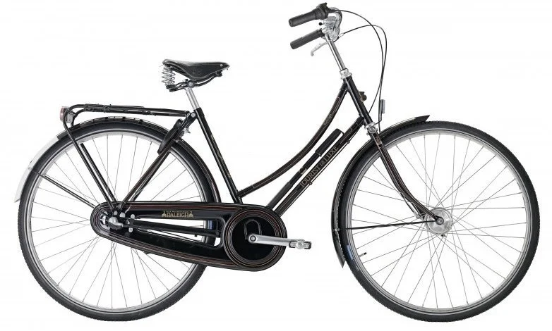 Raleigh Tourist de Luxe Dame 3g 2020 - sort