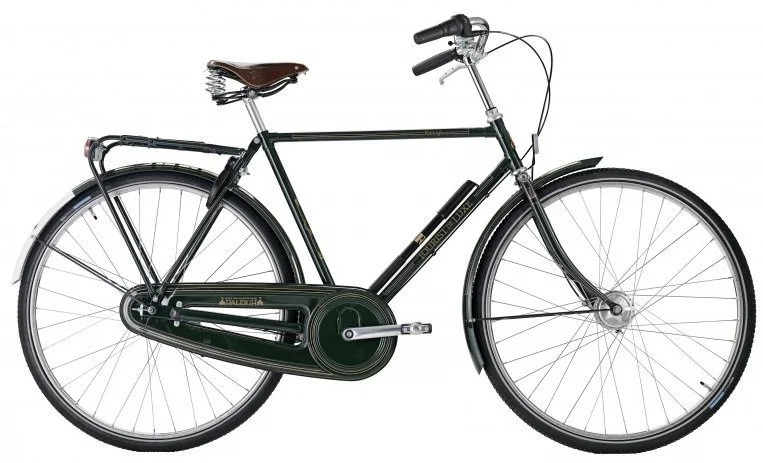 Raleigh Tourist de Luxe Herre 3g 2021 - grøn
