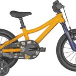 Scott Roxter 14" 2022