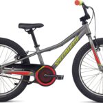 Specialized Riprock Coaster 20 2021 - Grå
