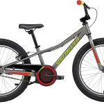 Specialized Riprock Coaster 20 2022 - Grå