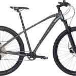 Principia A7.9 29" 12g 2022 - Grå