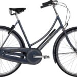 Raleigh Tourist de Luxe Dame Nexus 7g 2022 - Blå