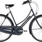 Raleigh Tourist de Luxe Dame Nexus 7g 2022 - Blå