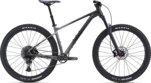 Giant Fathom 29 1 2022