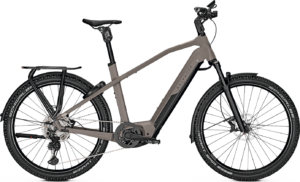 Kalkhoff ENTICE 7.B ADVANCE+ 750wh Herre – Grå
