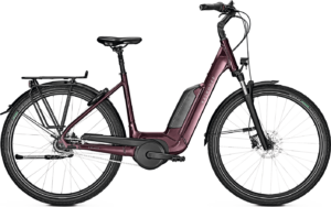 Kalkhoff IMAGE 1.B ADVANCE 500wh Dame – Rød
