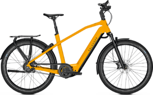 Kalkhoff IMAGE 7.B EXCITE+ 750wh Herre – Gul