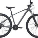 Centurion Violator MTB 29" 21g 2023 - Grå