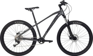 Principia A8.9 29" 12g 2023 – Brun