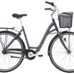 Raleigh Shopping Alu Dame 7g 2023 - Grå