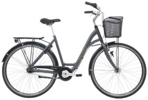 Raleigh Shopping Alu Dame 7g 2023 – Grå