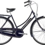 Raleigh Tourist de Luxe Dame 3g 2023 - blå