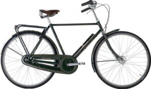 Raleigh Tourist de Luxe Herre 3g 2023 – grøn