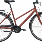 Centurion Basic Dame 7g 2023 - Brun