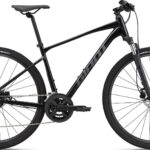Giant Roam 2 Disc 2023 - Sort