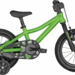 Scott Roxter 14 2023