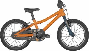 Scott Roxter 16 2023