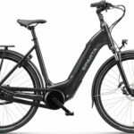 Sparta C-Grid Energy DK M8Tb Dame 2023