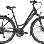 Bergamont Sponsor Disc Amsterdam 2023 - Sort