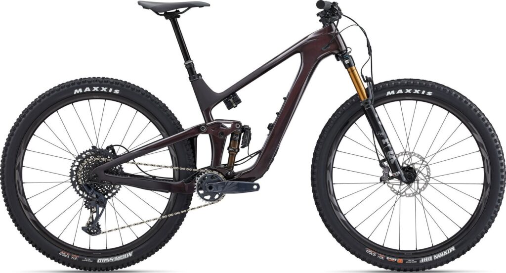Giant Trance Advanced Pro 29 1 2024