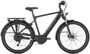 Gazelle Medeo T10 HMB  Herre 2024 – Grøn