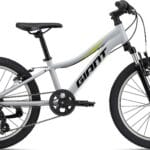Giant XtC Jr 20" 2024 - Grå