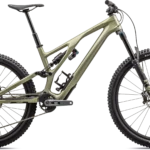 Specialized Stumpjumper EVO Expert 2024 - Grøn