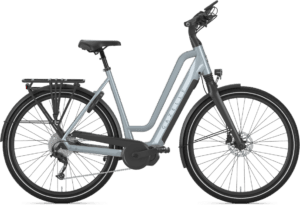 Gazelle Chamonix T10 HMS Dame 2024 – Grå
