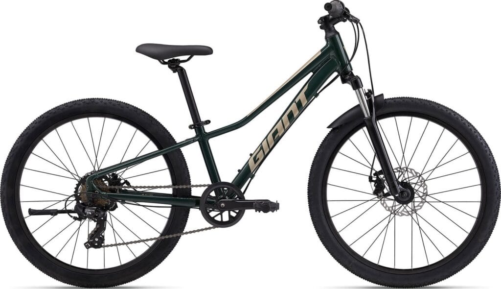 Giant Talon 24" Disc 2024 - Grøn